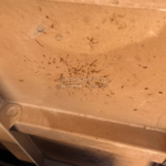 BICAÇAMBA 2016 RANDON 16